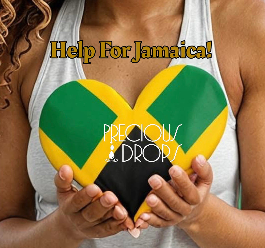 Supporting Jamaica: Help Us to Supply Starlinks for Jamaica!